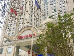 -西安赛瑞喜来登大酒店