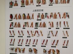 -通透堂中医·精准推拿(旗舰店)