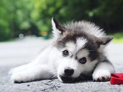 -必胜客(鼓楼店)