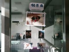 -宠颐生动物医院·心脏科·保险定点(锦阳分院)