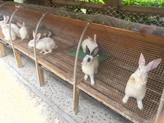 -珠海海泉湾神秘岛亲子乐园