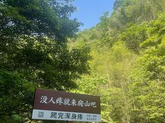 -大鄣山卧龙谷景区