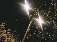 -钱塘江大桥