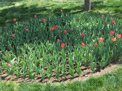 -长春公园(普阳街道)