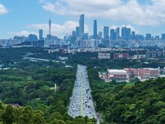 -火炉山森林公园