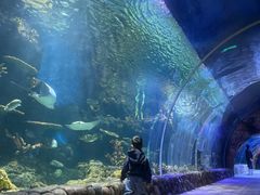 -华夏文旅海洋公园