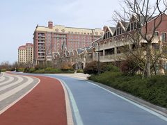 -星光岛