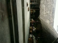 android_upload_pic-大象粑粑造纸公园