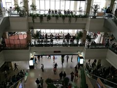 -上海市东方医院(总院)