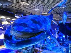 -国家自然博物馆