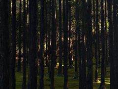 -玉苍山国家森林公园