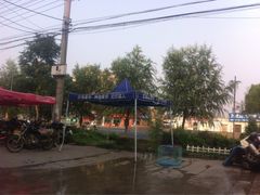 -小叮当动物医院·骨科·眼科