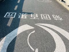 -菊园百果园