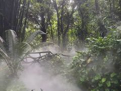 -呀诺达热带雨林