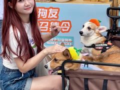 -IPARK购物中心