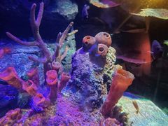 -沈阳海洋探索中心