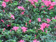 -复旦大学附属华山医院(江苏路分部)