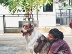 -TrueLove @ Neverland (Husky Cafe)