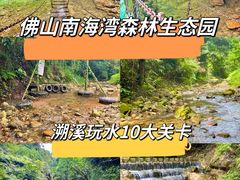-南海湾森林生态园