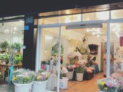 -溪岸路花鸟市场