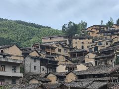 -杨家堂村