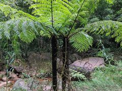 -赤水丹霞旅游区·佛光岩