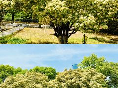 -南京明基医院