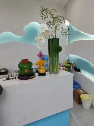 -斐尔国际皮肤管理中心