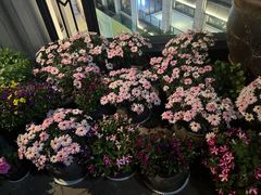 -瓦库茶馆17号(海汇港店)