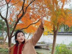 -秋霞圃
