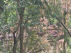 -星巴克(成都机场T2店)