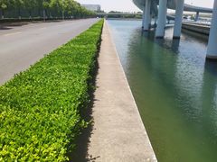 -上海浦东国际机场T1航站楼-P1停车场