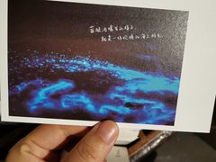 -石头会唱歌融来+北港岚台两岸交流中心