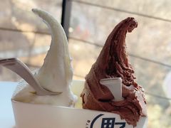 -野人牧坊Gelato(天津南开大悦城店)