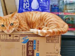 -玉华饮食店(茅台路店)