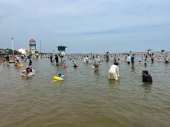 -碧海金沙