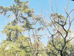 -浙江西子宾馆·牡丹厅