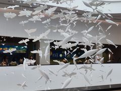 -中国湿地博物馆