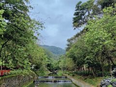 -广州白江湖森林公园