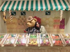 -济州岛泰迪熊博物馆