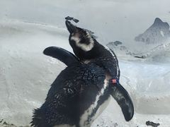 -上海海洋水族馆