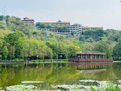 -顺峰山公园