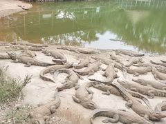 -广东茂名森林公园