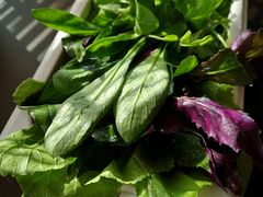 -滇釜火锅·能喝汤的火锅(车公庄店)