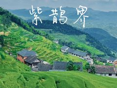 -紫鹊界梯田景区