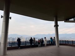 -金鸡山公园