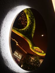 -花隐·美芙炫海菲秀皮肤管理中心