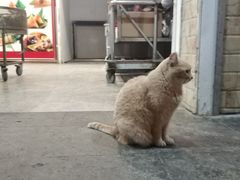 -赵记粽子(司前街店)