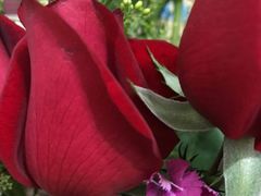 -花冠鲜花(勿忘我花店)