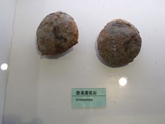 -中国第四纪冰川遗迹陈列馆